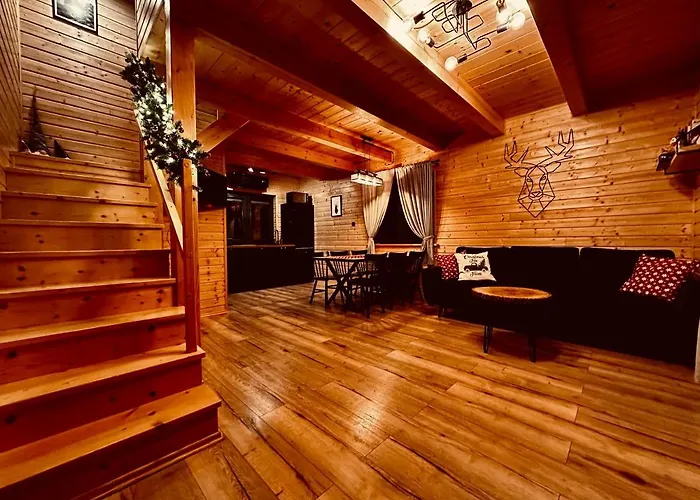 Przystanek Sniezka Holiday home *